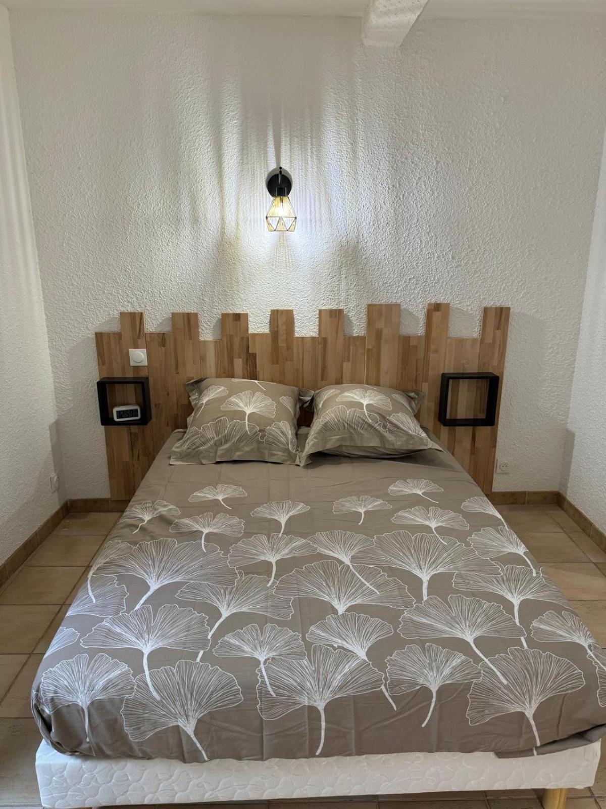 Charmant Appartement En Hypercentre De Castelnaudary Bagian luar foto